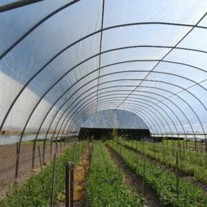 پلاستيک سه لايه گلخانه
